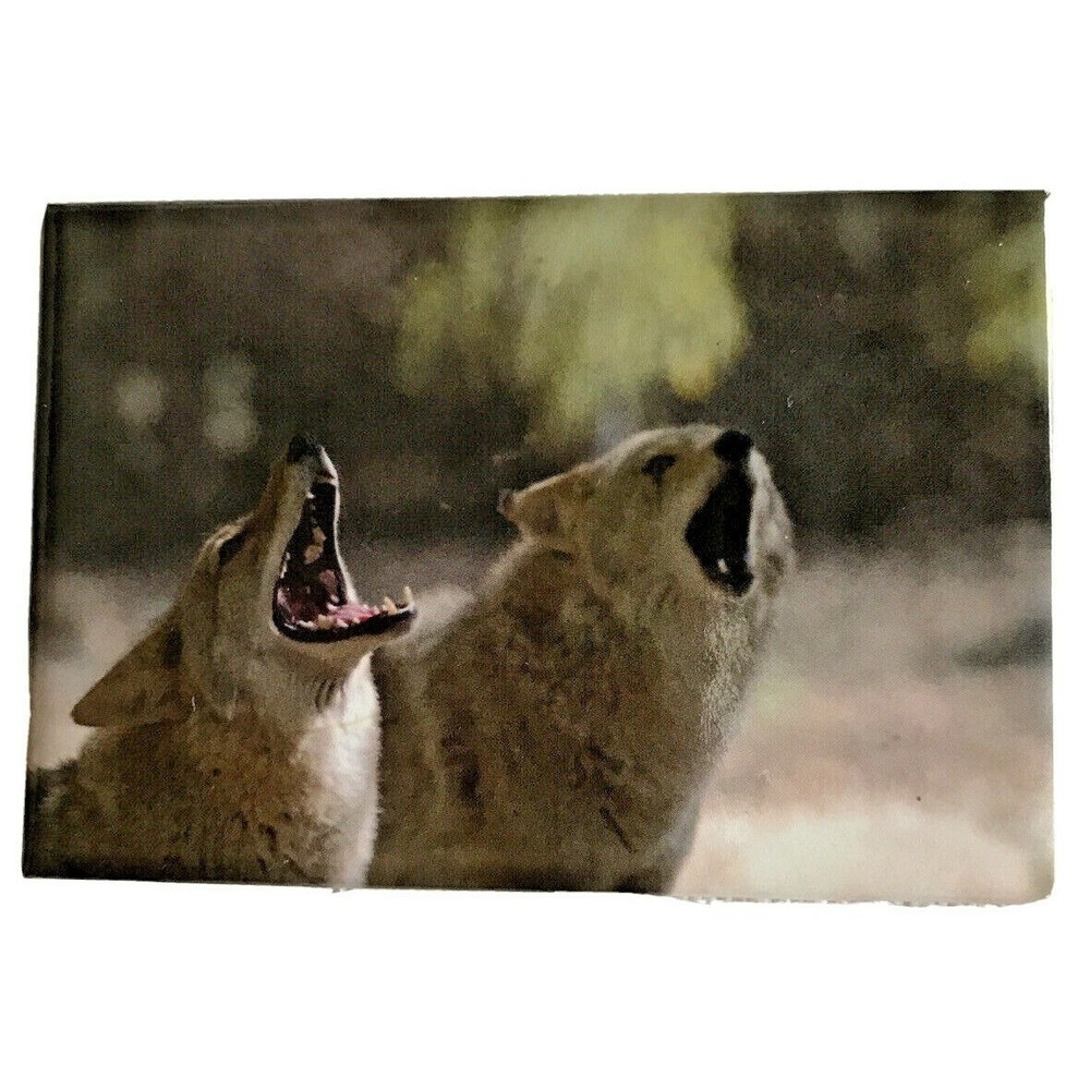 Collectible Photo Magnet Frank Balthis Photography 2 x 3" Wolf FB-M9 2006